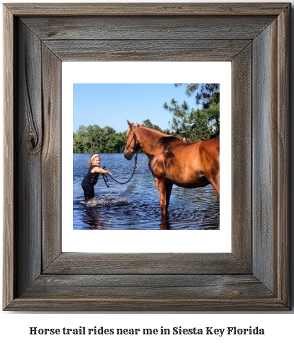 horse trail rides near me in Siesta Key, Florida